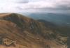 nizketatry105